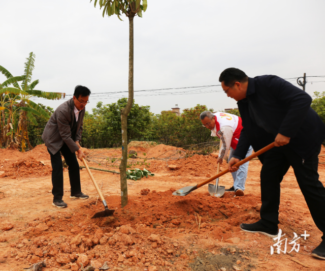 2024年3月7日在玉湖镇新寮村开展植树活动。揭阳人大供图